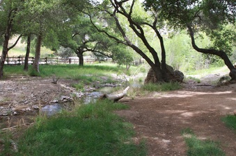 Enlarge photo 74