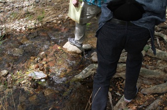 Enlarge photo 75