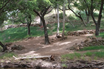 Enlarge photo 77