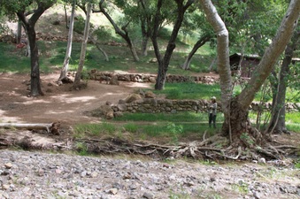 Enlarge photo 79