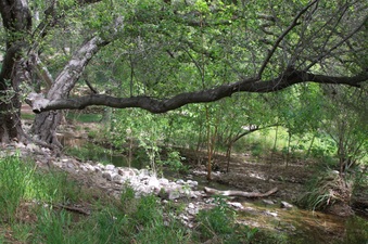 Enlarge photo 80