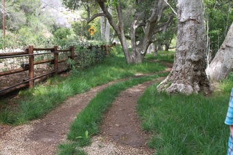 Enlarge photo 81