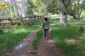 Enlarge photo 82