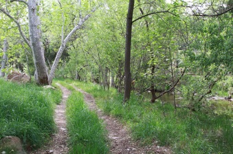 Enlarge photo 85