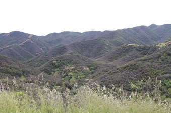 Enlarge photo 87