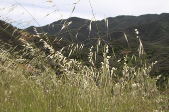 Enlarge photo 88