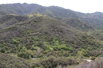 Enlarge photo 95