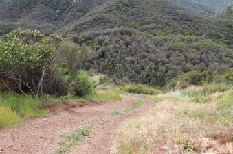 Enlarge photo 96