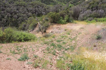 Enlarge photo 97