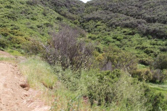Enlarge photo 99