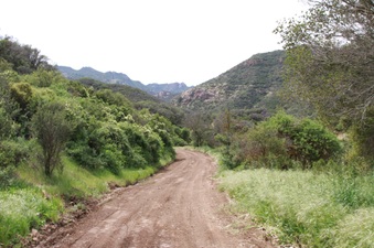 Enlarge photo 102