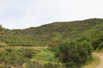 Enlarge photo 104