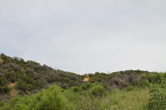 Enlarge photo 106