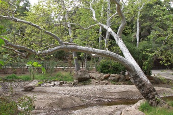 Enlarge photo 107