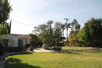 Enlarge photo 9