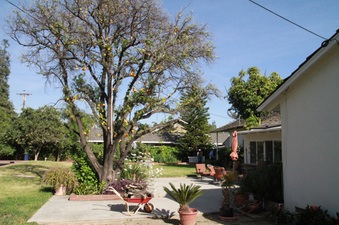 Enlarge photo 14