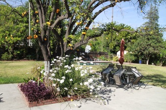 Enlarge photo 15
