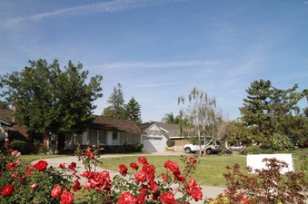 Enlarge photo 29