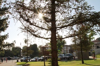 Enlarge photo 12