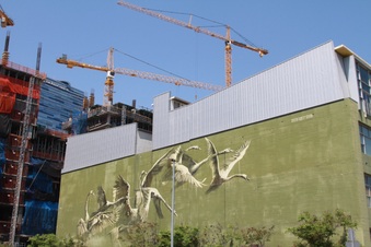 Enlarge photo 31