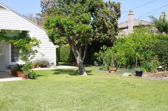 Enlarge photo 46