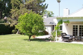Enlarge photo 47