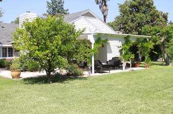 Enlarge photo 48