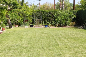 Enlarge photo 50