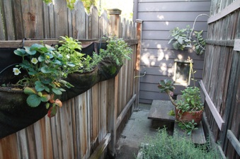 Enlarge photo 21