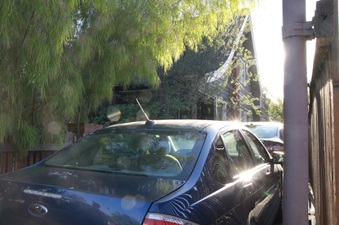 Enlarge photo 46