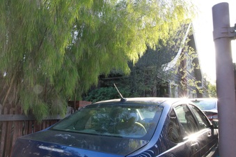 Enlarge photo 47