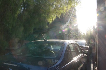 Enlarge photo 48