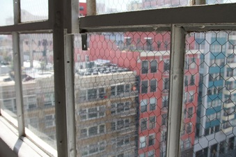 Enlarge photo 11
