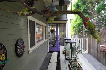 Enlarge photo 18