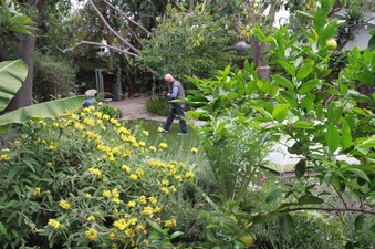 Enlarge photo 20