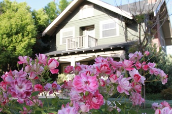 Enlarge photo 13