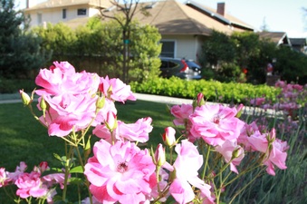 Enlarge photo 14