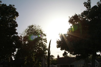 Enlarge photo 27