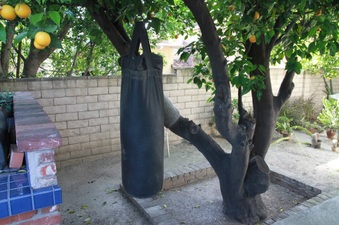 Enlarge photo 8