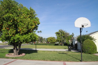 Enlarge photo 17