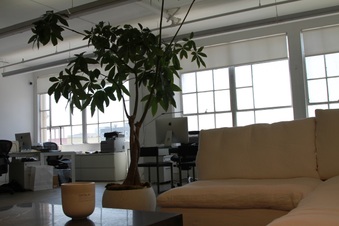 Enlarge photo 4