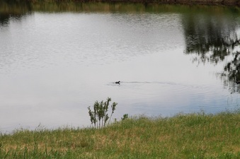 Enlarge photo 3