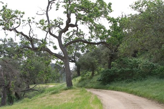 Enlarge photo 6