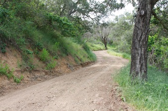 Enlarge photo 11