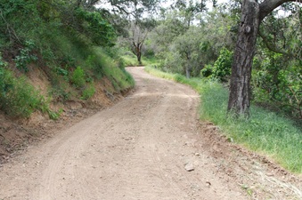 Enlarge photo 12