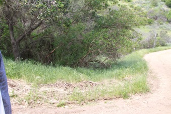Enlarge photo 14