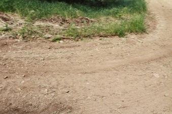 Enlarge photo 17