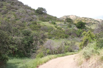 Enlarge photo 20