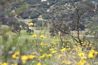 Enlarge photo 25