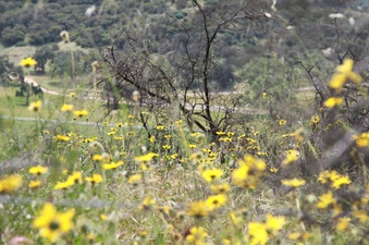 Enlarge photo 26